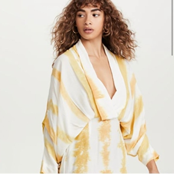 SWF Plunge Maxi Dress in Golden Hour - Picture 3 of 8